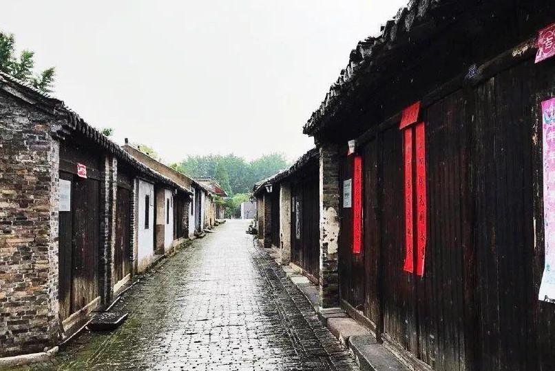 植物大战僵尸13